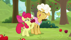 Size: 1920x1080 | Tagged: safe, screencap, character:apple bloom, character:goldie delicious, species:earth pony, species:pony, episode:going to seed, g4, my little pony: friendship is magic, apple, apple tree, cutie mark, duo, eyes closed, female, filly, foal, food, hoof hold, laughing, mare, narrowed eyes, the cmc's cutie marks, tree