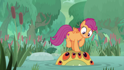 Size: 2000x1124 | Tagged: safe, screencap, character:scootaloo, species:pegasus, species:pony, episode:growing up is hard to do, g4, my little pony: friendship is magic, bufogren, cattails, cutie mark, female, hayseed swamp, looking down, looking up, mare, older, older scootaloo, raised hoof, swamp, the cmc's cutie marks, tree