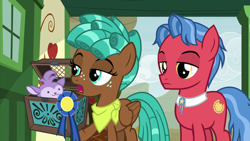 Size: 2000x1124 | Tagged: safe, screencap, character:biscuit, character:bloofy, character:spur, species:earth pony, species:pegasus, species:pony, episode:growing up is hard to do, g4, my little pony: friendship is magic, bandana, blue ribbon, box, female, lidded eyes, male, open mouth, teenager, trio, whirling mungtooth