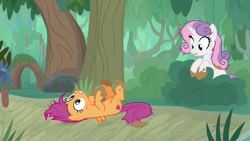 Size: 1920x1080 | Tagged: safe, screencap, character:scootaloo, character:sweetie belle, species:pegasus, species:pony, species:unicorn, episode:growing up is hard to do, g4, my little pony: friendship is magic, female, forest, mare, mud, older