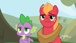 Size: 1920x1080 | Tagged: safe, screencap, character:big mcintosh, character:spike, species:dragon, species:earth pony, species:pony, episode:the big mac question, g4, my little pony: friendship is magic, big macintosh is not amused, crossed arms, discovery family logo, duo, furrowed brow, male, raised eyebrow, spike is not amused, stallion, unamused, unimpressed, winged spike