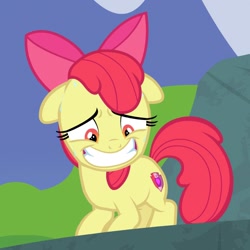 Size: 600x600 | Tagged: safe, screencap, character:apple bloom, species:earth pony, species:pony, episode:the big mac question, g4, my little pony: friendship is magic, bow, cropped, cutie mark, embarrassed, female, filly, floppy ears, foal, grin, hair bow, sheepish grin, smiling, solo, sweat