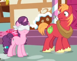 Size: 532x424 | Tagged: safe, screencap, character:big mcintosh, character:sugar belle, species:pony, episode:the big mac question, g4, my little pony: friendship is magic, blindfold, cropped, not what it looks like