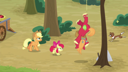 Size: 1920x1080 | Tagged: safe, screencap, character:apple bloom, character:applejack, character:big mcintosh, character:winona, species:dog, species:pony, episode:going to seed, g4, my little pony: friendship is magic, apple, apple tree, hanging, hanging upside down, snare trap, tree, upside down, wagon