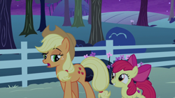 Size: 1920x1080 | Tagged: safe, screencap, character:apple bloom, character:applejack, species:pony, episode:going to seed, g4, my little pony: friendship is magic, adorabloom, applejack's hat, bow, clothing, cowboy hat, cute, cutie mark, duo, excited, female, filly, foal, freckles, grin, hair bow, hat, lidded eyes, looking at each other, mare, night, ponytail, raised eyebrow, siblings, sisters, smiling, stetson, sweet apple acres, walking