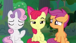 Size: 1920x1080 | Tagged: safe, screencap, character:apple bloom, character:scootaloo, character:sweetie belle, species:pegasus, species:pony, episode:the big mac question, g4, my little pony: friendship is magic, cutie mark crusaders