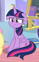 Size: 585x934 | Tagged: safe, screencap, character:twilight sparkle, character:twilight sparkle (alicorn), species:alicorn, species:pony, episode:the ending of the end, g4, my little pony: friendship is magic, cropped, floppy ears, sad, sad face, sitting, solo