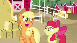 Size: 1920x1080 | Tagged: safe, screencap, character:apple bloom, character:applejack, species:earth pony, species:pony, episode:going to seed, g4, my little pony: friendship is magic, fence, hay bale, smiling