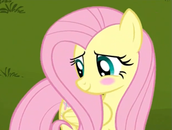 Size: 615x466 | Tagged: safe, screencap, character:fluttershy, episode:keep calm and flutter on, g4, my little pony: friendship is magic, blushing, cute, shyabetes