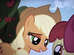 Size: 4032x3024 | Tagged: safe, screencap, character:apple bloom, character:applejack, species:pony, episode:call of the cutie, g4, my little pony: friendship is magic