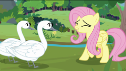 Size: 1920x1080 | Tagged: safe, screencap, character:fluttershy, species:bird, species:pegasus, species:pony, episode:the last problem, g4, my little pony: friendship is magic, eyes closed, female, happy, mare, river, smiling, swan, tree