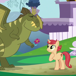Size: 630x630 | Tagged: safe, screencap, species:dragon, species:pony, episode:the last problem, g4, my little pony: friendship is magic, background pony, cropped, cute, dawwww, female, flower, happy, implied interspecies, male, mare, nervous, pixy canela, rex (dragon), romantic gesture, suprised look, unnamed pony