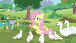 Size: 1920x1080 | Tagged: safe, screencap, character:fluttershy, species:bird, species:pony, episode:the last problem, g4, my little pony: friendship is magic, butterfly, piper perri surrounded, swan