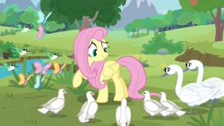 Size: 1920x1080 | Tagged: safe, screencap, character:fluttershy, species:bird, species:pony, episode:the last problem, g4, my little pony: friendship is magic, butterfly, hummingbird, piper perri surrounded, swan