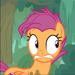 Size: 944x940 | Tagged: safe, screencap, character:scootaloo, species:pegasus, species:pony, episode:growing up is hard to do, g4, my little pony: friendship is magic, cropped, female, mare, older, older scootaloo, scared, solo, teeth