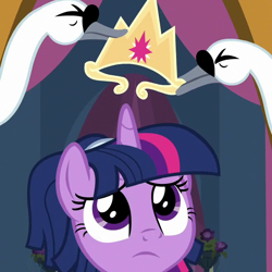 Size: 700x700 | Tagged: safe, screencap, character:twilight sparkle, character:twilight sparkle (alicorn), species:alicorn, species:bird, species:pony, episode:the last problem, g4, my little pony: friendship is magic, cropped, crown, female, jewelry, mare, regalia, solo, swan