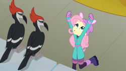 Size: 1600x900 | Tagged: safe, screencap, character:fluttershy, species:bird, equestria girls:holidays unwrapped, g4, my little pony:equestria girls, boots, bunny ears, clothing, coat, dancing, hands up, mittens, shoes, whistling, winter outfit, woodpecker