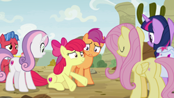 Size: 1920x1080 | Tagged: safe, screencap, character:apple bloom, character:biscuit, character:fluttershy, character:scootaloo, character:sweetie belle, character:twilight sparkle, character:twilight sparkle (alicorn), species:alicorn, species:pegasus, species:pony, episode:growing up is hard to do, g4, my little pony: friendship is magic, cutie mark crusaders, older, saddle bag
