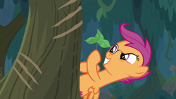 Size: 1920x1080 | Tagged: safe, screencap, character:scootaloo, species:pegasus, species:pony, episode:the last crusade, g4, my little pony: friendship is magic, solo