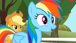 Size: 1280x720 | Tagged: safe, screencap, character:applejack, character:rainbow dash, species:earth pony, species:pegasus, species:pony, episode:the ticket master, g4, my little pony: friendship is magic, apple, apple tree, duo, female, fence, mare, sweet apple acres, tree