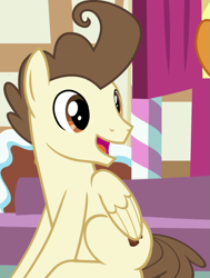 Size: 815x1080 | Tagged: safe, screencap, character:pound cake, species:pegasus, species:pony, episode:the last problem, g4, my little pony: friendship is magic, cropped, male, older, older pound cake, sitting, stallion
