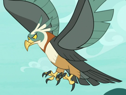 Size: 700x530 | Tagged: safe, screencap, species:bird, species:roc, episode:molt down, g4, my little pony: friendship is magic, cropped, solo, spread wings, wings
