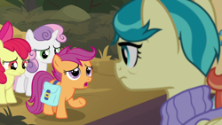 Size: 1920x1080 | Tagged: safe, screencap, character:apple bloom, character:aunt holiday, character:auntie lofty, character:scootaloo, character:sweetie belle, species:pegasus, species:pony, episode:the last crusade, g4, my little pony: friendship is magic, cutie mark crusaders