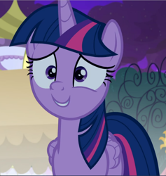 Size: 890x940 | Tagged: safe, screencap, character:twilight sparkle, character:twilight sparkle (alicorn), species:alicorn, species:pony, episode:the summer sun setback, g4, my little pony: friendship is magic, cropped, cute, faec, smiling, solo, twiabetes