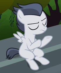 Size: 465x559 | Tagged: safe, screencap, character:rumble, species:pegasus, species:pony, episode:marks and recreation, g4, my little pony: friendship is magic, colt, cropped, eyes closed, male, sitting, solo