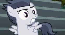Size: 1181x647 | Tagged: safe, screencap, character:rumble, species:pegasus, species:pony, episode:marks and recreation, g4, my little pony: friendship is magic, angry, colt, male, solo