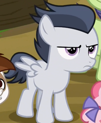 Size: 517x627 | Tagged: safe, screencap, character:cucumber seed, character:kettle corn, character:pipsqueak, character:rumble, species:pegasus, species:pony, episode:marks and recreation, g4, my little pony: friendship is magic, colt, cropped, male, solo focus