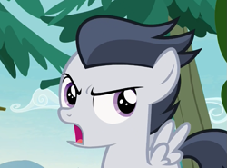 Size: 875x649 | Tagged: safe, screencap, character:rumble, species:pegasus, species:pony, episode:marks and recreation, g4, my little pony: friendship is magic, angry, colt, cropped, looking at you, male, solo