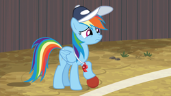 Size: 1920x1080 | Tagged: safe, screencap, character:rainbow dash, species:pegasus, species:pony, episode:common ground, g4, my little pony: friendship is magic, ball, buckball, cap, clothing, coach rainbow dash, female, hat, mare, rainbow dashs coaching whistle, sad, solo, whistle, whistle necklace