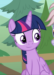 Size: 608x850 | Tagged: safe, screencap, character:twilight sparkle, character:twilight sparkle (alicorn), species:alicorn, species:pony, episode:the point of no return, g4, my little pony: friendship is magic, cropped, fence, offscreen character, sitting, smiling, solo focus, tree