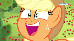 Size: 1920x1080 | Tagged: safe, screencap, character:applejack, species:pony, episode:going to seed, g4, my little pony: friendship is magic, cartoonito logo, cute, jackabetes, smiling