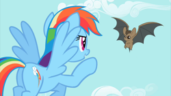 Size: 2500x1405 | Tagged: safe, screencap, character:rainbow dash, species:bat, species:pegasus, species:pony, episode:may the best pet win, g4, my little pony: friendship is magic, animal, duo, female, flying, mare, spread wings, wings