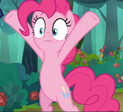 Size: 1037x940 | Tagged: safe, screencap, character:pinkie pie, species:earth pony, species:pony, episode:the mean 6, g4, my little pony: friendship is magic, bipedal, cropped, female, hooves in air, mare, raised hoof, shrunken pupils, solo, x pose