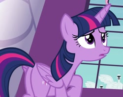 Size: 905x718 | Tagged: safe, screencap, character:twilight sparkle, character:twilight sparkle (alicorn), species:alicorn, species:bird, species:pony, episode:between dark and dawn, g4, my little pony: friendship is magic, butt, cropped, plot, swan