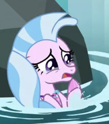 Size: 349x397 | Tagged: safe, screencap, character:silverstream, species:seapony (g4), episode:what lies beneath, g4, my little pony: friendship is magic, adorable distress, cropped, crying, cute, diastreamies, female, fins, jewelry, necklace, open mouth, rock, solo, splash, splashing, teary eyes, upset, water, worried