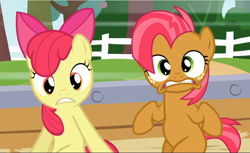 Size: 1542x941 | Tagged: safe, screencap, character:apple bloom, character:babs seed, species:earth pony, species:pony, episode:apple family reunion, g4, my little pony: friendship is magic, bow, cousins, cropped, duo, female, filly, freckles, hair bow, shocked, sitting, teeth