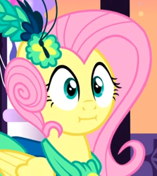 Size: 816x915 | Tagged: safe, screencap, character:fluttershy, species:pegasus, species:pony, episode:make new friends but keep discord, g4, my little pony: friendship is magic, :i, clothing, cropped, dress, female, gala dress, mare, solo, we bought two cakes