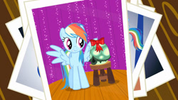 Size: 1280x720 | Tagged: safe, screencap, character:rainbow dash, character:tank, species:pegasus, species:pony, episode:may the best pet win, g4, my little pony: friendship is magic, bow, female, mare, photo, spread wings, stool, wings