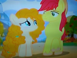 Size: 4160x3120 | Tagged: safe, screencap, character:bright mac, character:pear butter, species:earth pony, species:pony, episode:the perfect pear, g4, my little pony: friendship is magic, apple farm, blushing, cropped, in love, looking at each other, low quality, parent, pear farm, picture of a screen, raised hoof, smiling