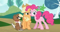 Size: 638x346 | Tagged: safe, screencap, character:applejack, character:gummy, character:pinkie pie, character:winona, species:dog, species:earth pony, species:pony, episode:may the best pet win, g4, my little pony: friendship is magic, alligator, female, looking sideways, mare, raised hoof