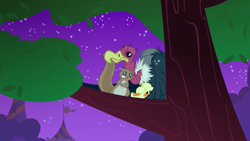 Size: 2880x1620 | Tagged: safe, screencap, species:bird, episode:the best night ever, g4, my little pony: friendship is magic, animal, buzzard, duckling, night, scared, sitting in a tree, squirrel, tree branch, vulture