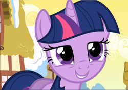 Size: 1330x939 | Tagged: safe, screencap, character:twilight sparkle, character:twilight sparkle (unicorn), species:pony, species:unicorn, episode:winter wrap up, g4, my little pony: friendship is magic, close-up, cropped, cute, lidded eyes, smiling, solo, twiabetes