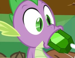 Size: 1121x871 | Tagged: safe, screencap, character:spike, episode:just for sidekicks, g4, my little pony: friendship is magic