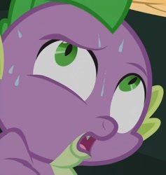 Size: 821x865 | Tagged: safe, screencap, character:spike, episode:just for sidekicks, g4, my little pony: friendship is magic, out of context, sweat