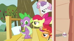 Size: 1280x720 | Tagged: safe, screencap, character:apple bloom, character:scootaloo, character:spike, character:sweetie belle, species:pegasus, species:pony, episode:just for sidekicks, g4, my little pony: friendship is magic