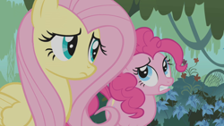 Size: 1920x1080 | Tagged: safe, screencap, character:fluttershy, character:pinkie pie, episode:bridle gossip, g4, my little pony: friendship is magic, everfree forest